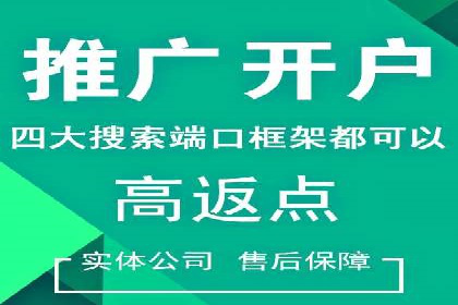 某品牌sem竞价托管代运营的精彩瞬间